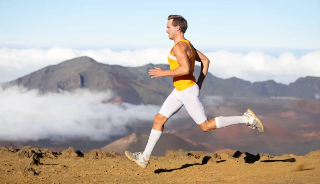 max hosiery compression socks