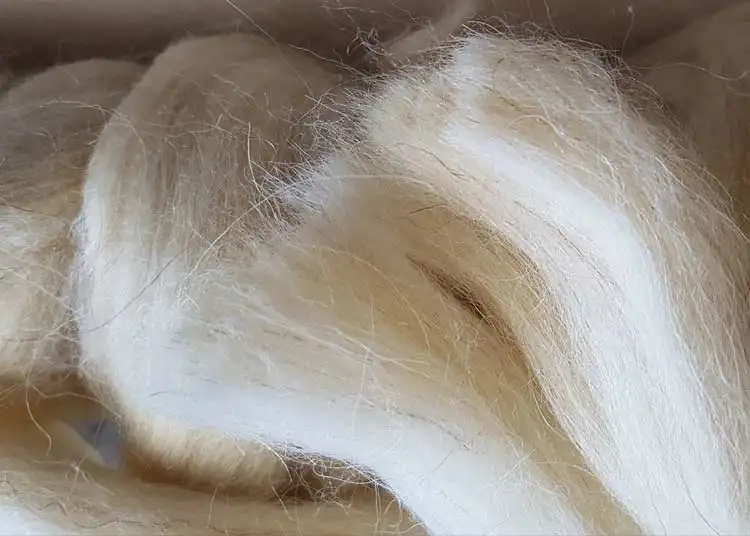 merino wool