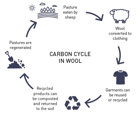 merino wool decompose