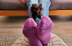cat socks 1.