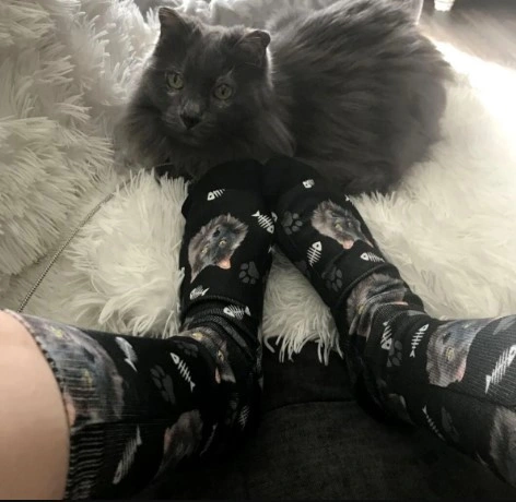cat socks 2.