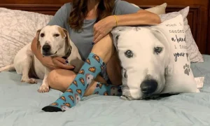 custom socks with picture 2.