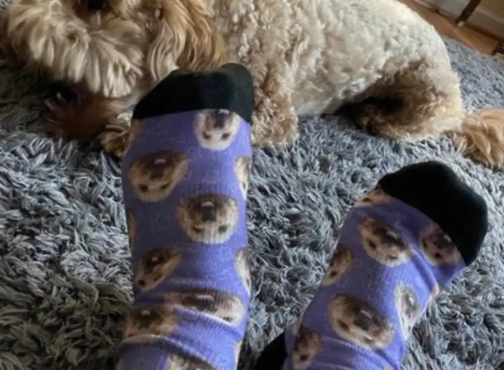 socks with dog face 2.