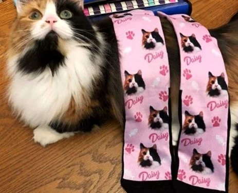 pet face socks 1.