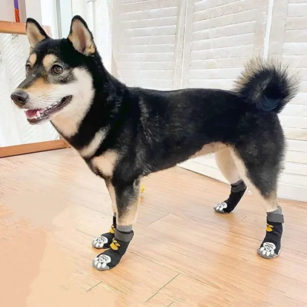 Dog socks for hardwood floors
