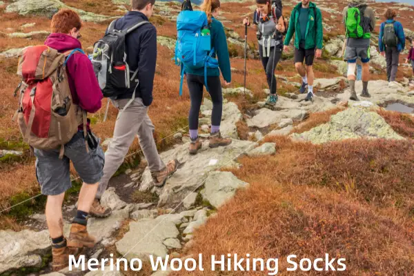 Hikers wearing merino wool hiking socks traverse a rocky, autumn trail.