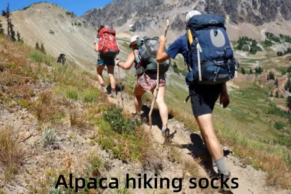 Hikers ascending a mountain trail, wearing comfortable Alpaca hiking socks for outdoor adventure