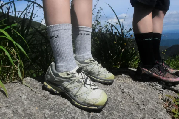 Side-by-side comparison of Merino performance socks and alpaca luxury socks representing market positioning