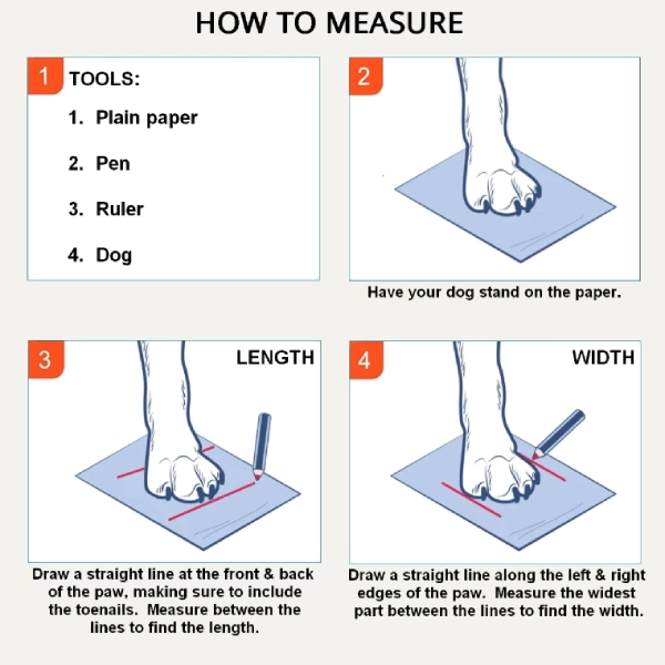 Measuring dog paw width and weight range for correct traction sock selection