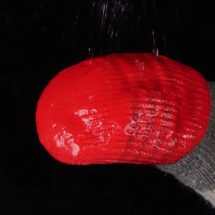 Bandaged paw covered by a waterproof sock during a brief outdoor outing per veterinary guidance