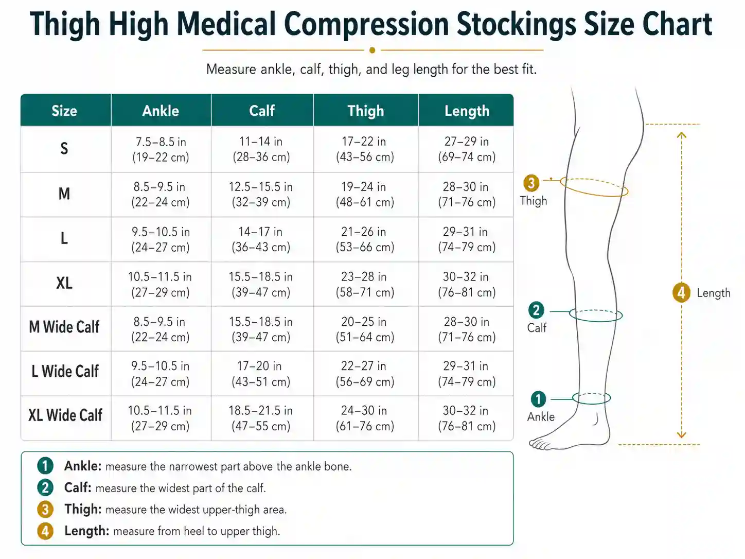 Thigh high medical compression stockings size chart with wide calf options