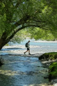 Hiker crossing a shallow river bed wearing protective waterproof hiking socks and shoes